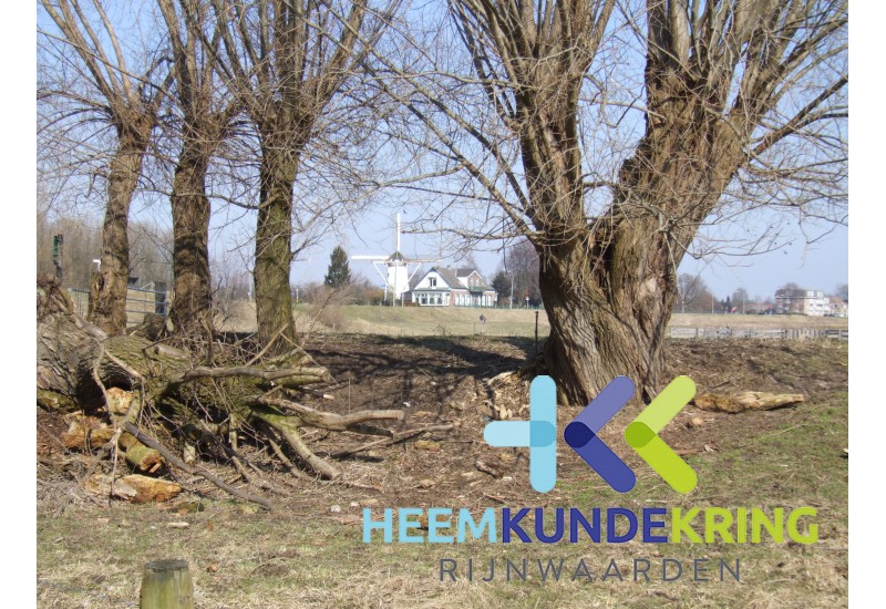 2006-13-03 Geuzenwaard Zicht op de Boterdijk - Molen Coll. HKR (4)
